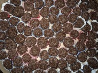 /album/docinhos/brigadeiro3-jpg1/