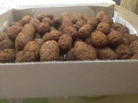 /album/salgados/kibe-jpg1/